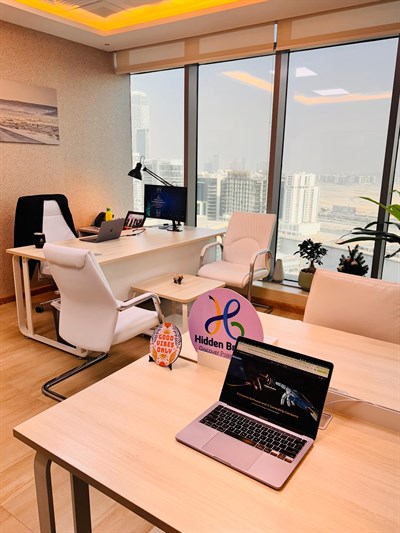 Hidden Brains Infotech