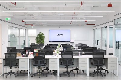 Lion Mortgage Consultants