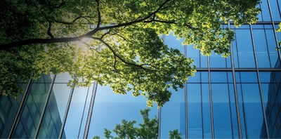 Neoterra Real Estate Development LLC