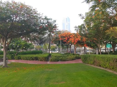 Al Satwa Park 3