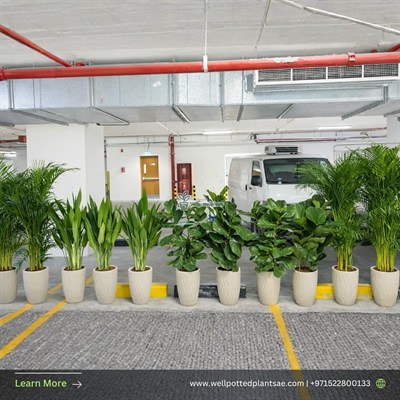 Well Potted Plants LLC