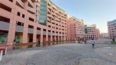 Discovery Gardens Building 8