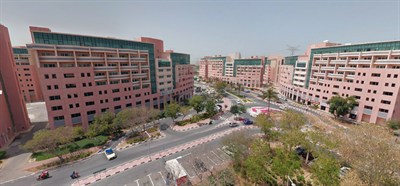Discovery Gardens Building 19