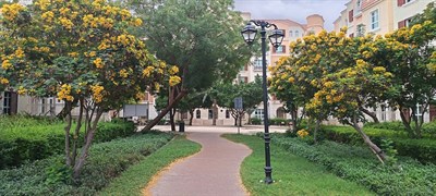 Discovery Gardens Building 40