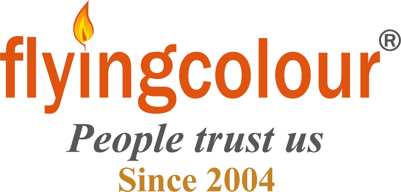 Flyingcolour Business Setup Logo