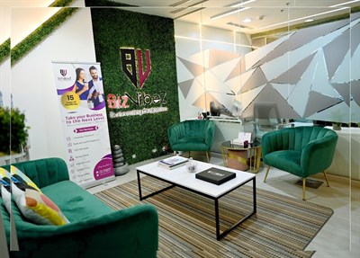 BizVibez Consultants