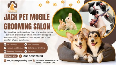 jackpet grooming