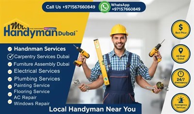Mr Handyman