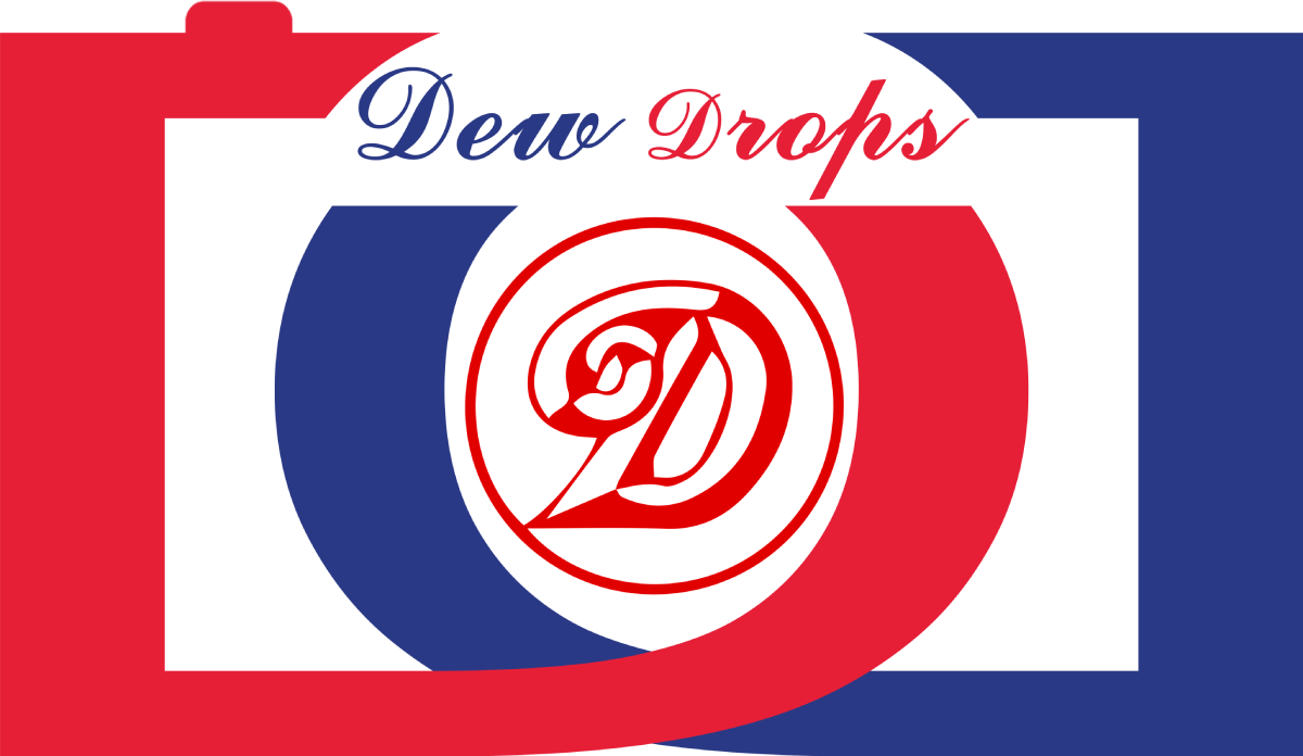 DD Studio LLC Logo