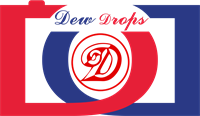 DD Studio LLC