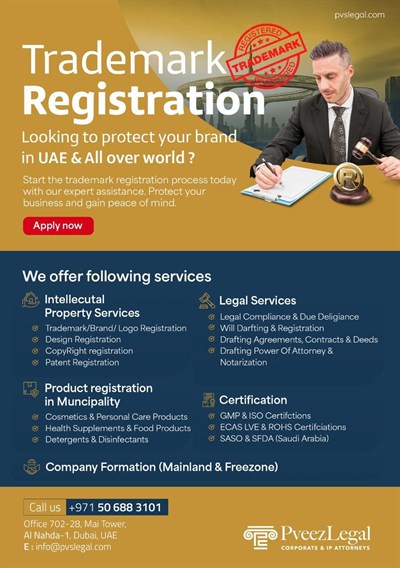Pveez Legal Services LLC
