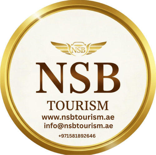 Nsb tourism llc Logo