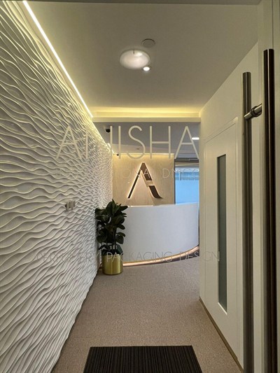 Anisha international