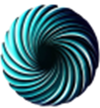 Vortex Solutions
