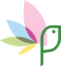 My Global Flowers