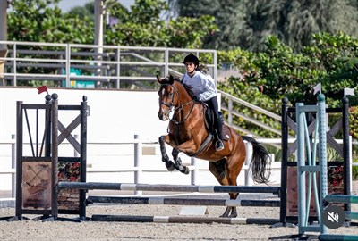 M11 Equestrian Club