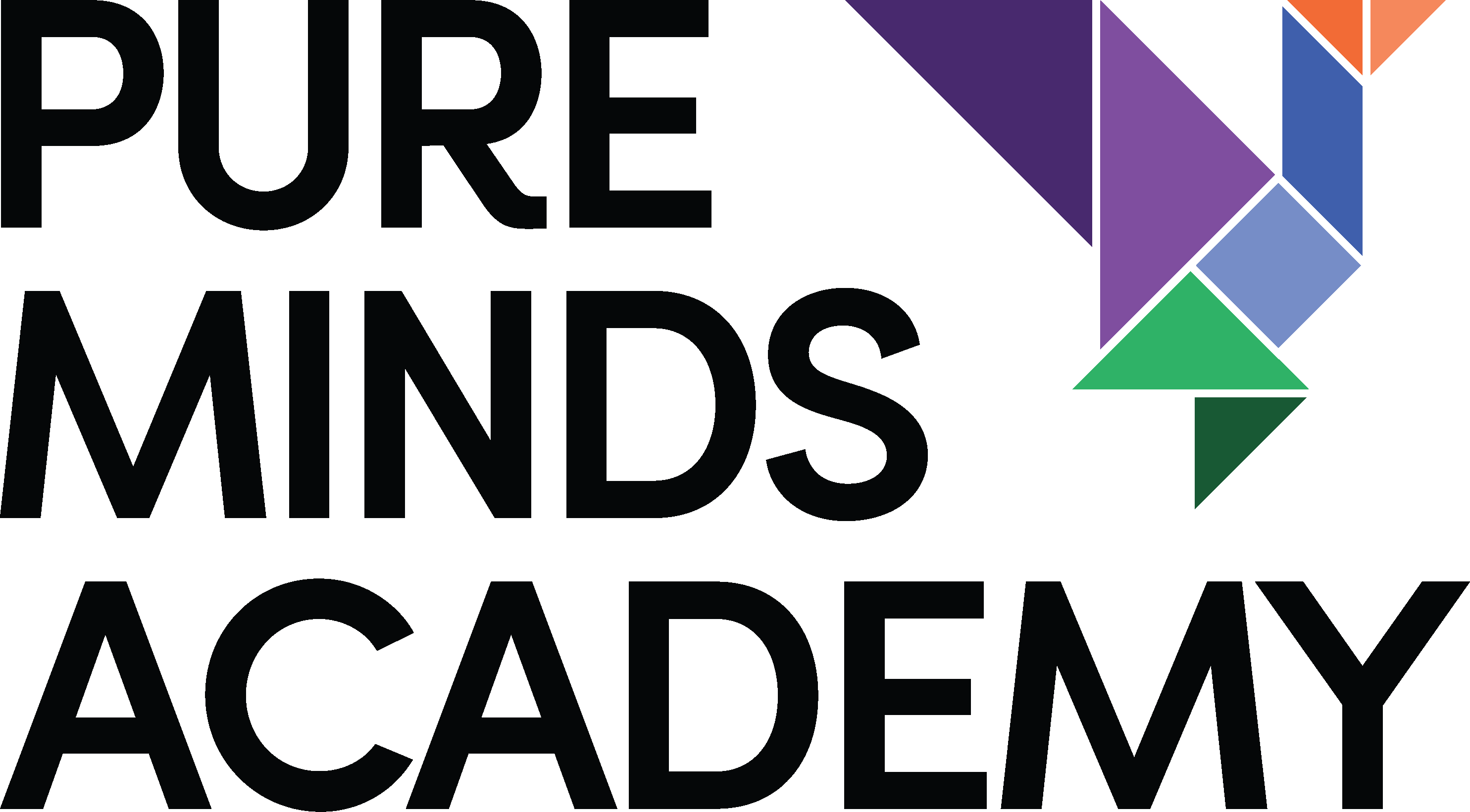 Pure Minds Academy Logo