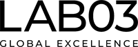 Lab 03