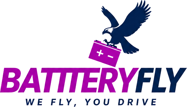 Battery Fly Logo