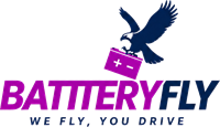 Battery Fly