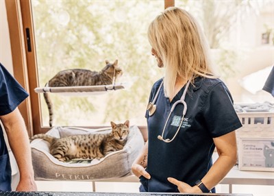 German Veterinary Clinic