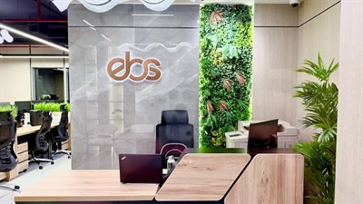 ebs Chartered Accountants