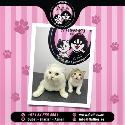 Fluffies Mobile Pet Grooming