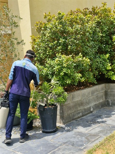 Highline Pest Control & Building Cleaning Services
