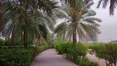 YAS Community Park JVC