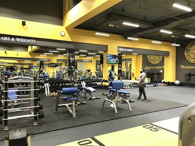 Toronto Star Body Building