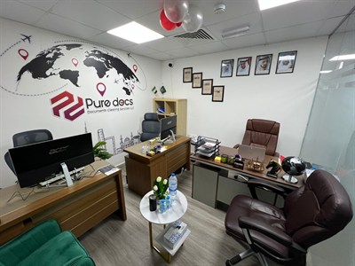 Pure Docs Business Consultant Services