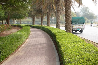 Samer Park JVC