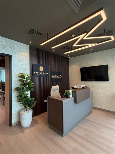 Mattermind Decor and General Maintenance LLC