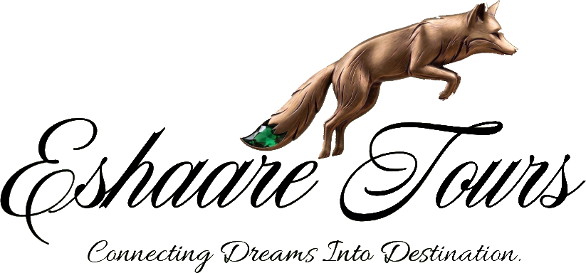 Eshaare Tours FZE LLC Logo