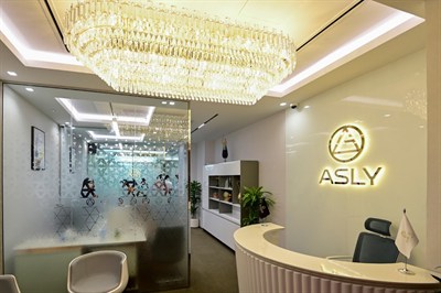 Asly Business Setup Consultant