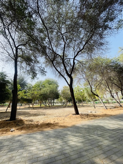 Sabar Community Park