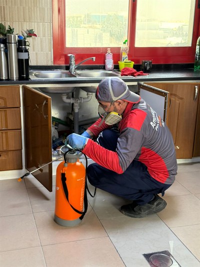 American Bite Pest Control & Cleaning Services