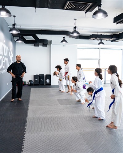 The Warrior Academy