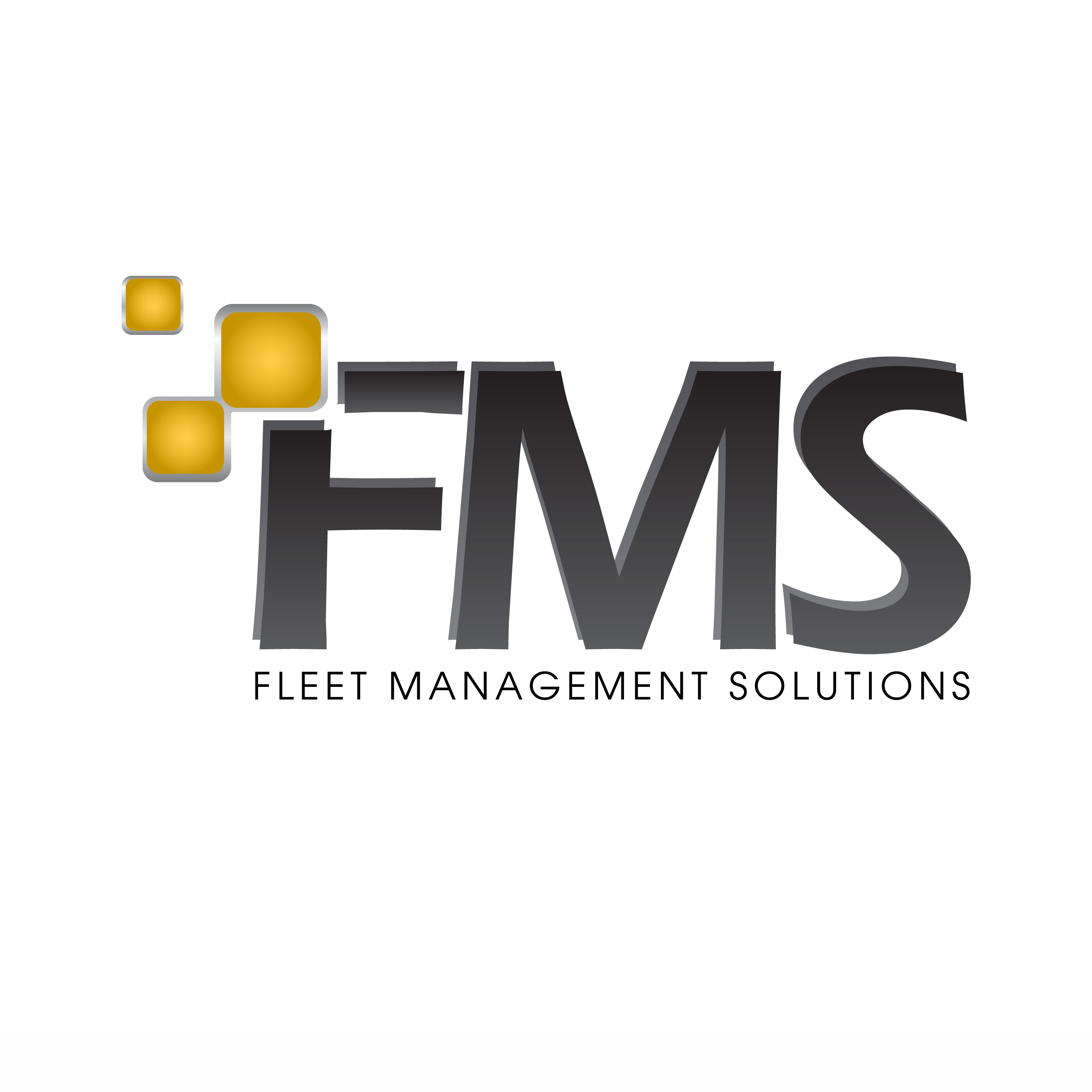 Fleet Management Solutions Logo