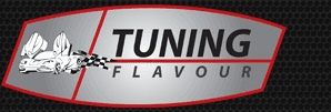 Tuning Flavour Logo