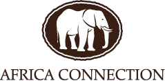 Africa Connection Logo