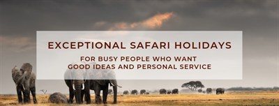 Africa Connection