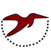 Highflyer Travels & Tourism LLC Logo