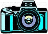 Rose Land Digital Studio