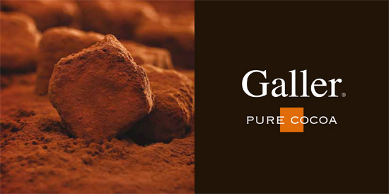 Galler Chocolate Logo