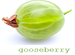 Gooseberry Logo