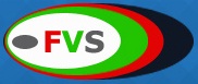 Fast Vision Security LLC Logo