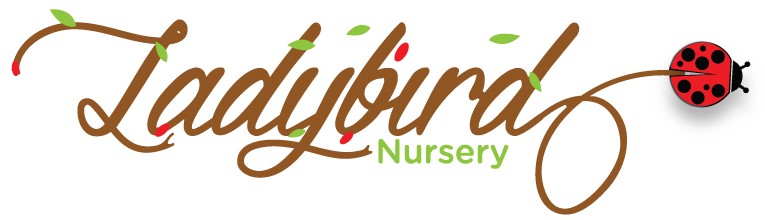 Ladybird Nursery Logo