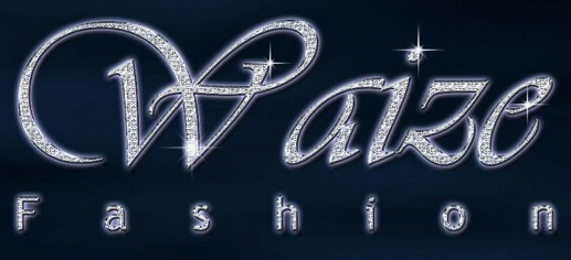 Waize Fashion Logo