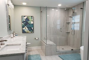 Shower Glass Partition